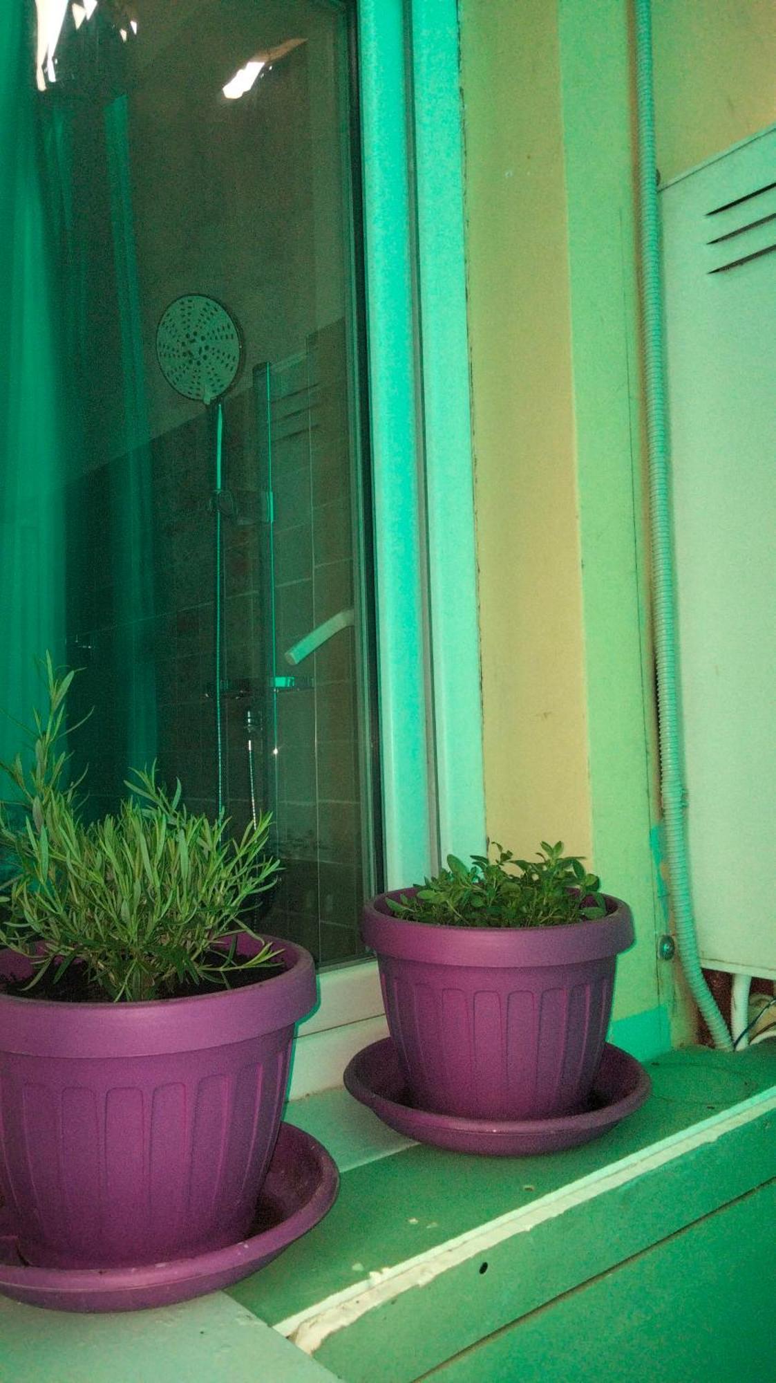 Casa Vacanza Kadya Torino Esterno foto